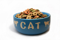 Collection of homemade cat food and treats recipes