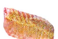 Collection of rib rub recipes