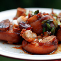 Collection of unusual meats recipes