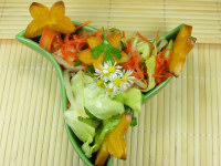 Collection of jicama salad recipes