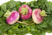 Collection of turnips recipes