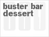buster bar
