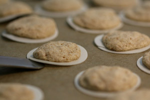cream cheese