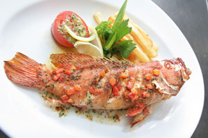 grouper
