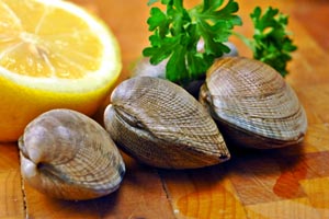 clam appetizer