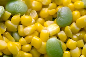succotash