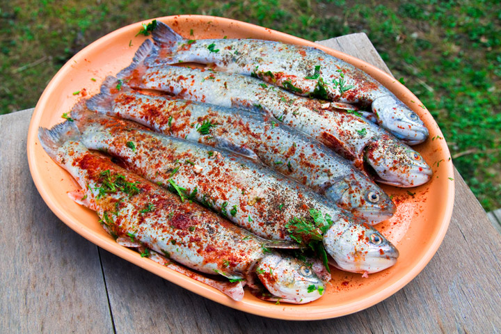 Recipes from Colorado