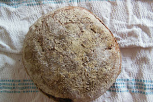 sourdough and starters