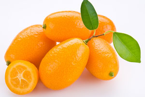 kumquat