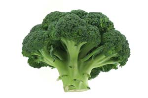 broccoli