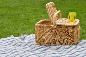 picnic and camping foods