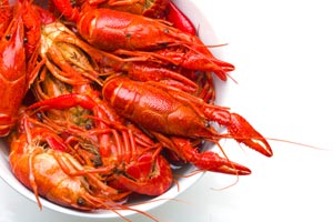crawfish