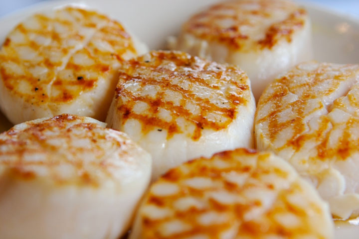 Recipes for Scallops CDKitchen