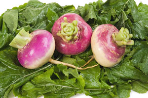 turnip