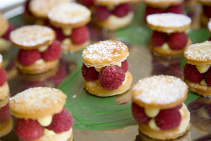 raspberry dessert