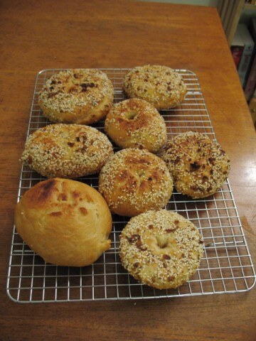 photo of Authentic New York-Style Homemade Bagels