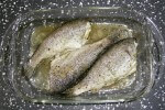 Two Ingredient Baked Trout