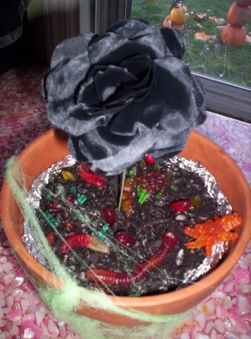 photo of Dirt Cake