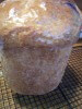 Whole Wheat Oatmeal Bread