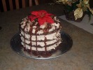Chocolate Peanut Butter Torte