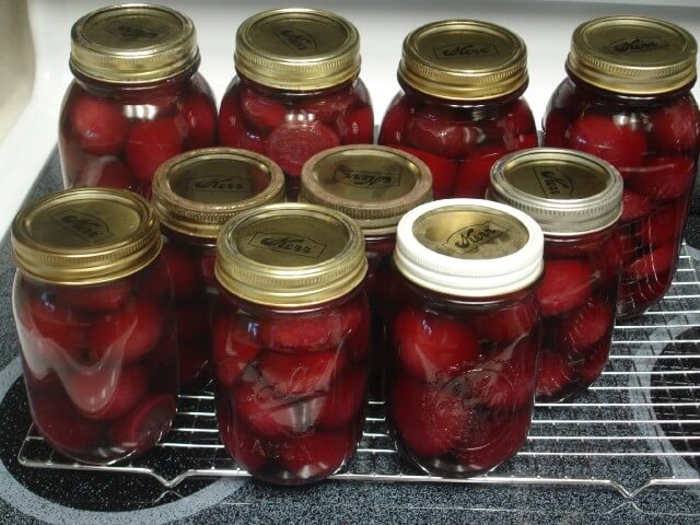 photo of Ruby Beet Pickles