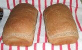 100% Whole Wheat Bread