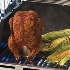 recipe for mccormick's grill mates beer can chicken