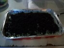 Oreo Cookie Filled Cake Recipe