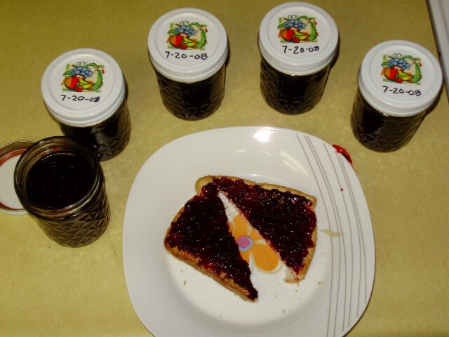photo of Blackberry Jam