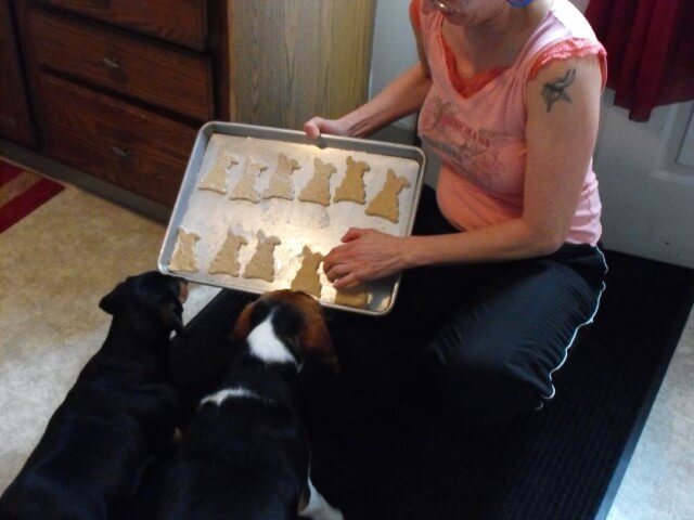 photo of Dog Cookies