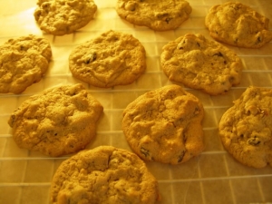 recipe for date & raisin cookies