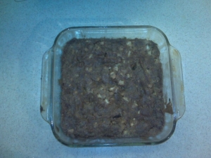 recipe for apple squares