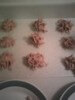 Butterscotch Marshmallow Haystacks