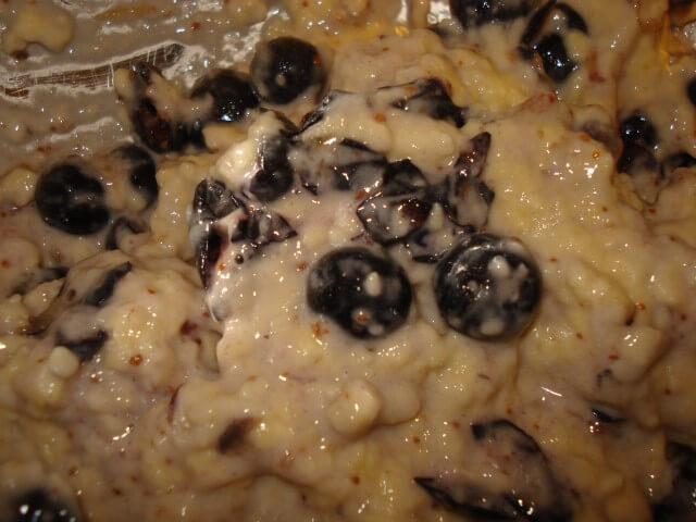 photo of Blueberry Fritters