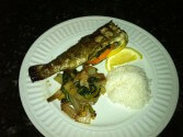 Grilled Rainbow Trout with Citrus and Cilantro