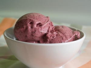 recipe for berry burst sorbet