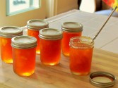 Chunky Peach Preserves