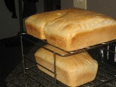 Salt Rising Bread