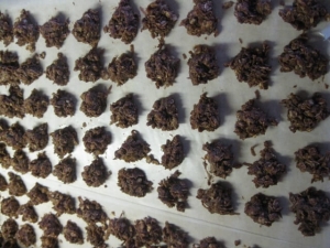 recipe for gourmet reindeer poop