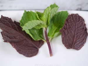 recipe for chocolate mint leaves