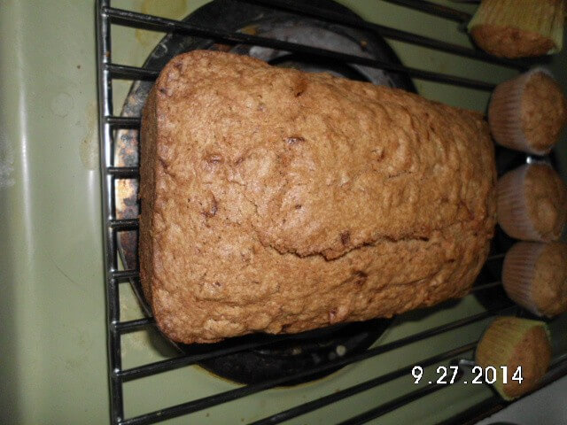 photo of California Blue Ribbon Winner Zucchini Bread