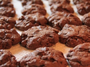 recipe for chewy double chocolate chip cookies