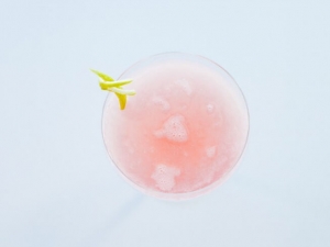recipe for pink lemonade wine spritzers