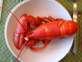 Julia Child's Lobster