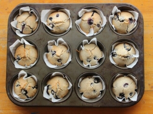 recipe for blueberry vanilla muffins