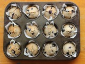Blueberry Vanilla Muffins Recipe