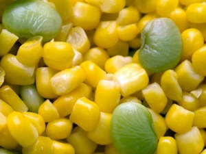 recipe for slow cooker lima beans and corn