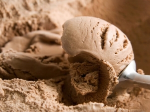 recipe for low fat milk chocolate ice cream