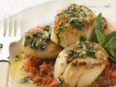 Scallop Saute