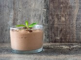 Fat Free Chocolate Mousse